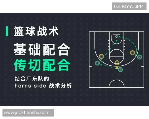 武汉篮球队在全国锦标赛中的战术分析与表现点评