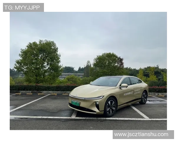 比亚迪汉与巴西足球明星携手共创绿色出行新篇章