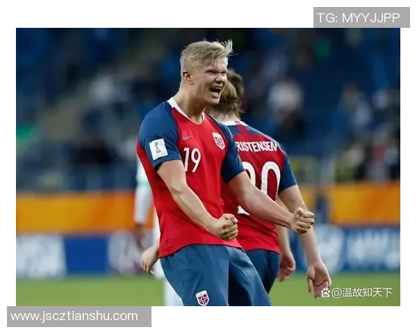 波兰足球明星哈兰德的崛起与未来展望解析