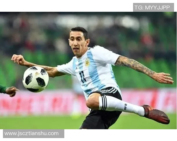 马尔维罗足球明星的传奇之路与辉煌成就探秘