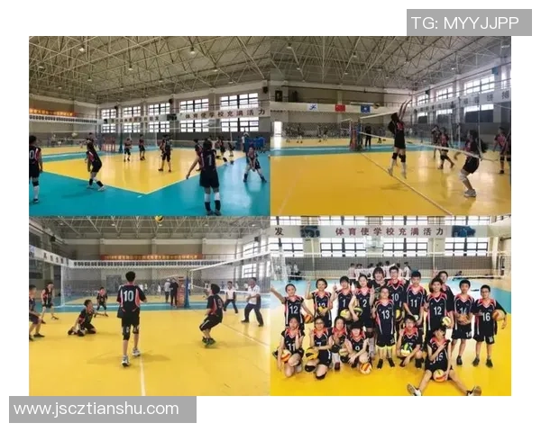 排球战术：上海排球队的节奏体系