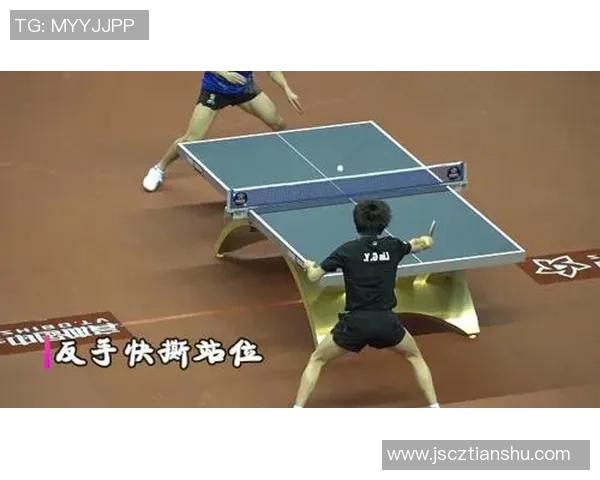 乒乓球深度：解密上海乒乓球队的区域防守
