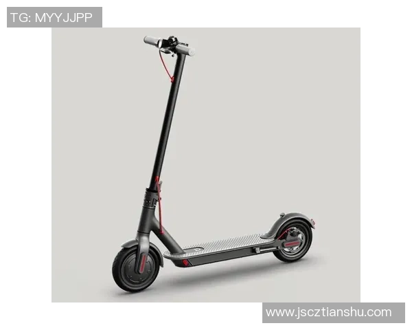 飞盘装备选购：滑板推荐_1